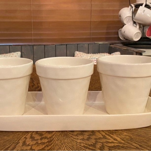 Rae Dunn Magenta Artisan Script plant set, Basil, Sage and Mint 3 pots and Tray - Picture 3 of 3